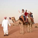 Dubai Desert Safari tours profile picture